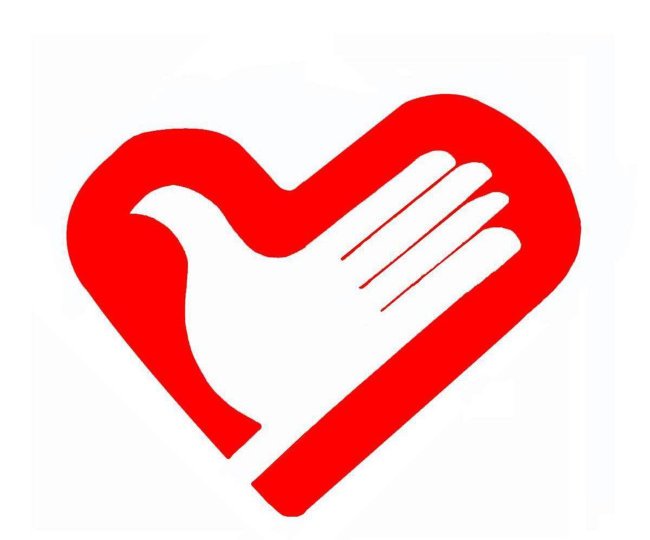 东莞市志愿者拓展服务总队